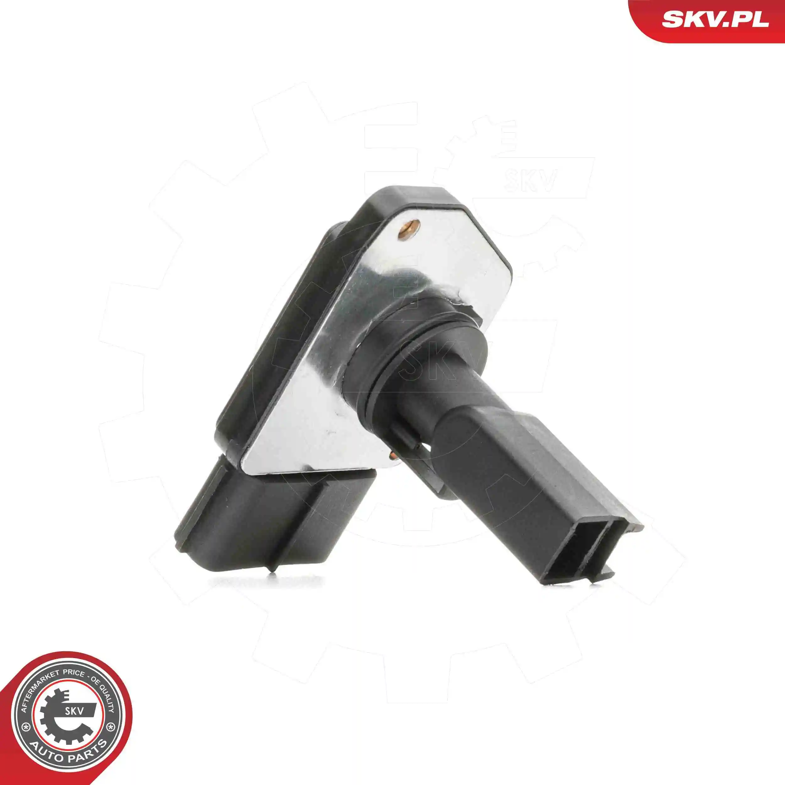 Mass Air Flow Sensor